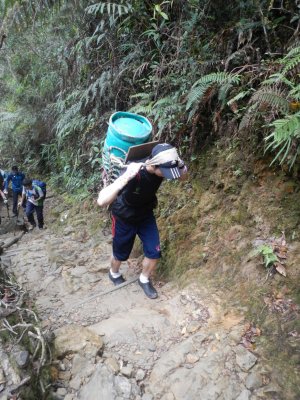 (2252M+)  All living supplies to the guesthouse at 3860M are carried up these porters. This guy carries a gas tank!