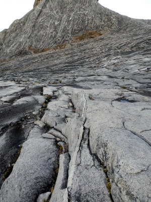 (3929M+) Igenous viens on grannites.