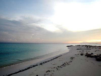 Dawn