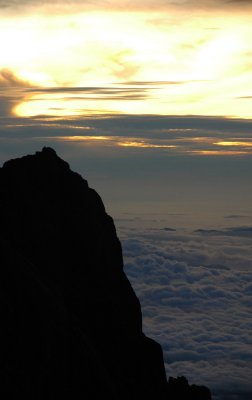 (3688M+) Dawn