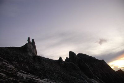 (3688M+) Left Donkey Ears, right Ugly Sisters