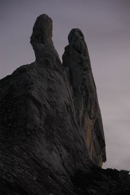 (3688M+) Donkey Ears closeup