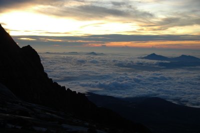 (3929M)