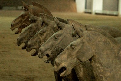 Horses, Qin Terra-cotta Army