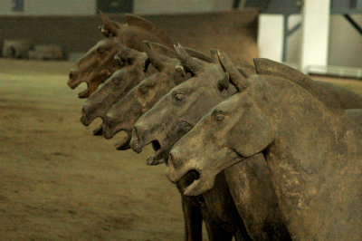 Horses, Qin Terra-cotta Army