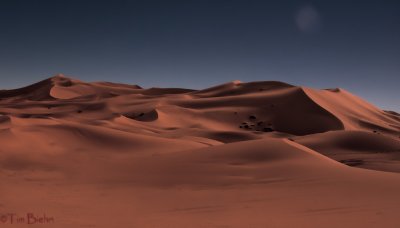 Sahara Dunes