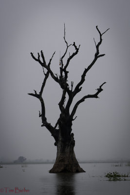 Guardian Of The Lake