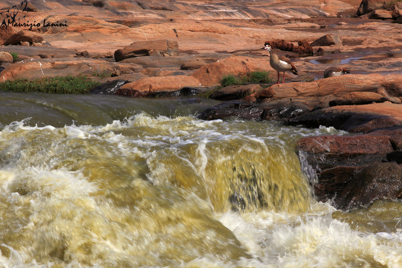 Lugards falls