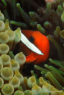 g4/59/800659/3/137329248.b9r5IUlk.jpg