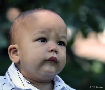 Davion