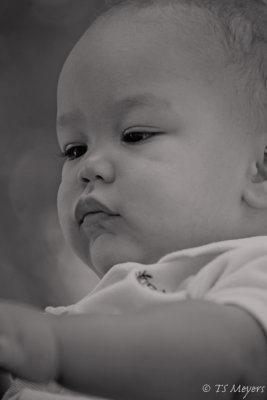 Davion
