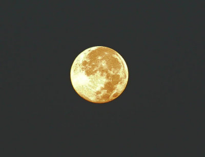 moon.jpg