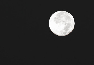 moon 2.jpg