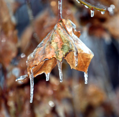 ice 120107d.jpg