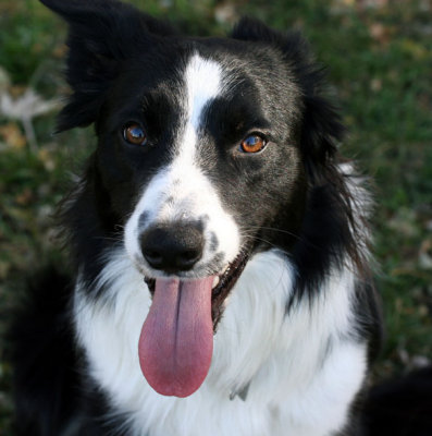 jesse 111507b.jpg