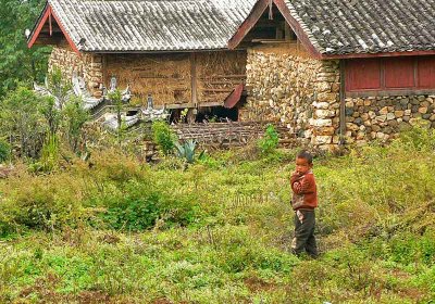 Farm boy