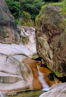 Mountain stream