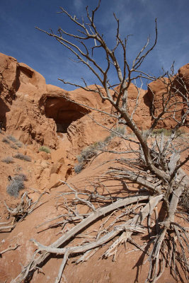 Shakespeare Arch/Sentinel Trail