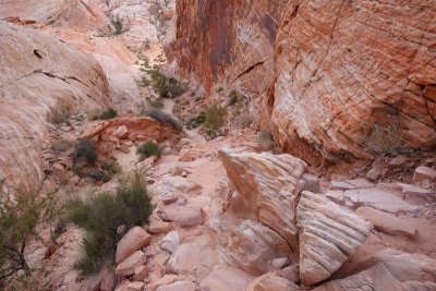 The beginning of White Domes Trail