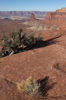 View from Orange Cliffs Overlook