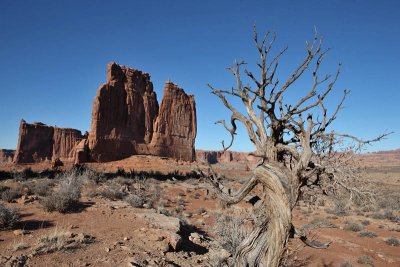 The Organ and Tower of Babel