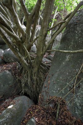 Near the Caves Minh Dam