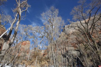 Near the Weeping Rock area