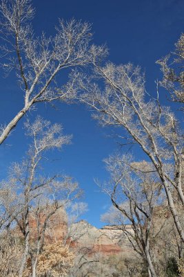 Near the Weeping Rock area