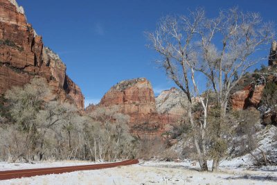 Near the Weeping Rock area