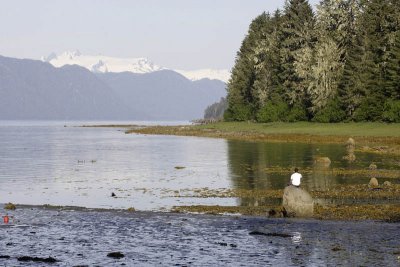 Petersburg, Sandy Beach