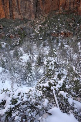 Lower Emerald Pool Trail