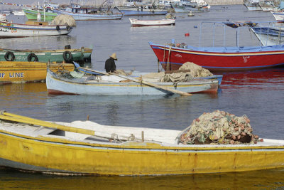 Alexandria, along the shore