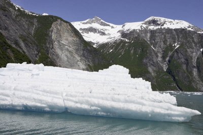 Tracy Arm Fjord, iceberg