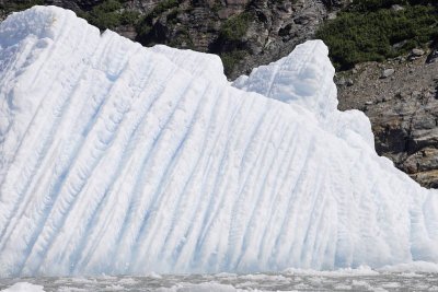 Tracy Arm Fjord, iceberg