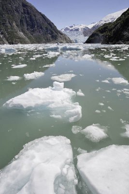 Tracy Arm Fjord, floating ice