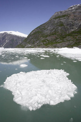 Tracy Arm Fjord, floating ice