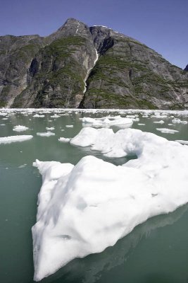 Tracy Arm Fjord, floating ice