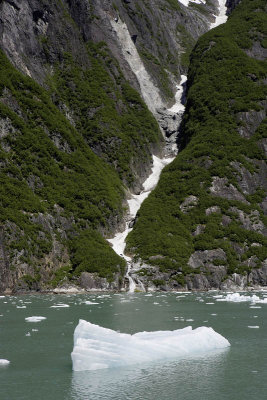 Tracy Arm Fjord, floating ice