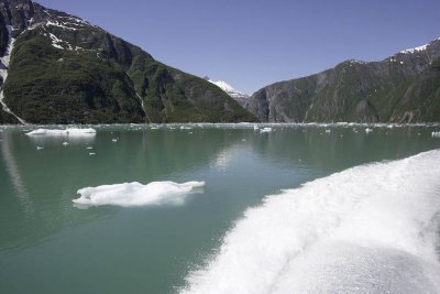 Tracy Arm Fjord