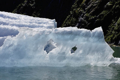 Tracy Arm Fjord, iceberg