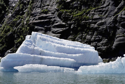 Tracy Arm Fjord, iceberg