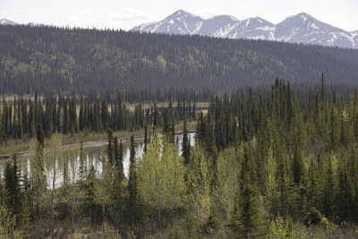 Denali Highway