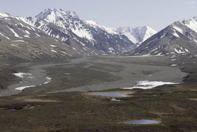 Denali National Park