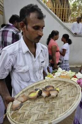 Anuradhapura, Sri Maha Bodhi