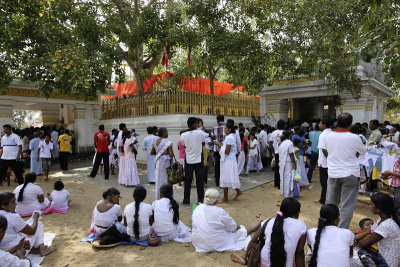 Anuradhapura, Sri Maha Bodhi