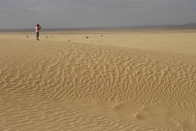 Early morning at the desert