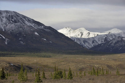 Denali National Park