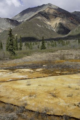 Near Matanuska Glacier