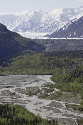 Near Matanuska Glacier