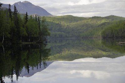 On the way to Matanuska Glacier